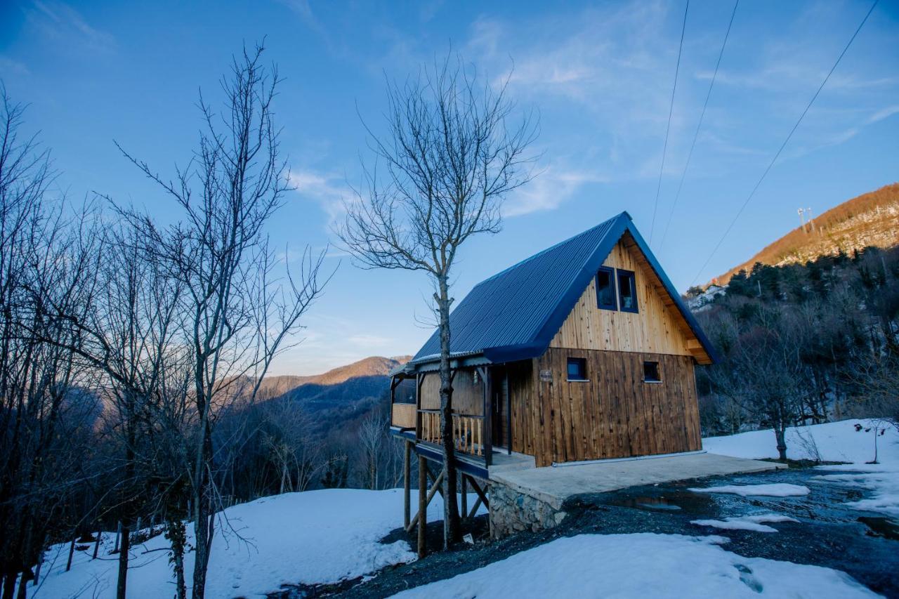 Villa Maksudiye Selale Tatil Koyu Geyve Exterior foto